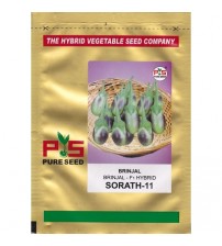 Brinjal Sorath-11